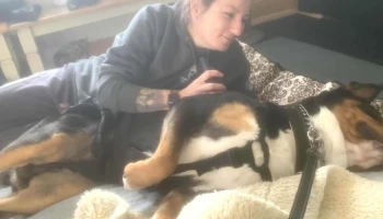Alpha Pack, Aqua and Physio Therapy for Animals - Alpha