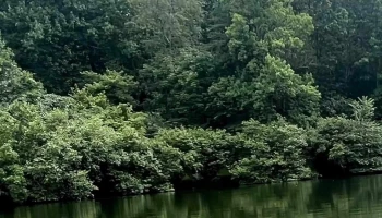 Apple Mountain Lake - Linden