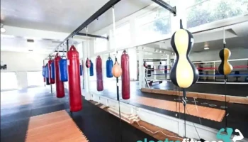 Boxing For Health - Oakland