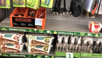 Family Dollar - Abbotsford