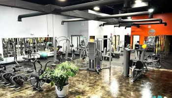 Fitness Escape - Hastings
