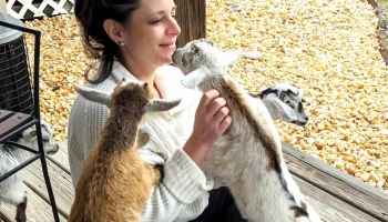 Gettysburg Goat Yoga - Gettysburg