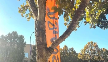 Healthy Nutrition Fitness & Accesories - San Jose