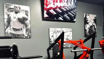Iron Breed Fitness - Schenectady
