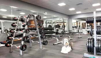Kopion Fitness - Advance