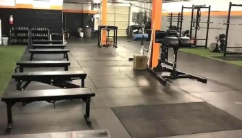 Made Strength & Conditioning - Alpha