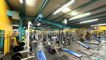 Mandrill's Gym - Santa Fe