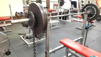 Muscle & Fitness Factory - Danville