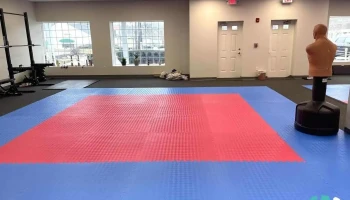 Origins Taekwondo Academy - Acton
