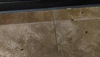 Planet Fitness - Taylor