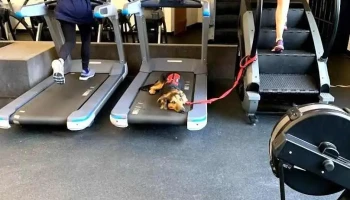 Regis Fitness Center - Denver