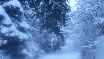 Richmond Park - Klamath Falls