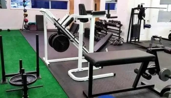 Shane's Fitness - Garden City
