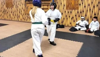 Shorin Ryu Karate Academy - Palestine