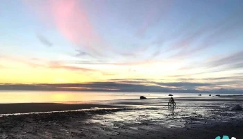 South Anchorage Physical Therapy - Anchorage