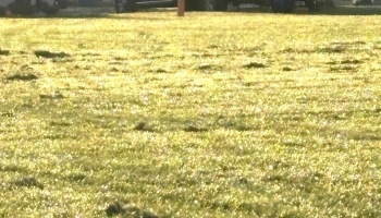 Sozo Sports Complex - Yakima