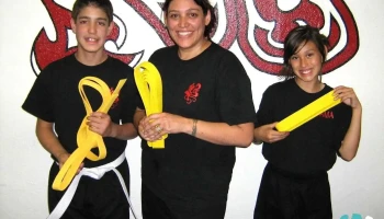 Synergy Martial Arts & Fitness - Westminster