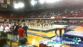 Team Attraction Gymnastics - Apex