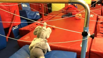 The Little Gym of Littleton - Littleton