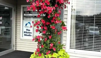 The Pilates Studio - Feeding Hills