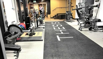 Thesis Personal Training Dc - Washington