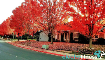 Tice Creek Fitness Center at Rossmoor - Walnut Creek