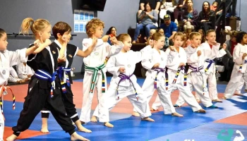United Martial Arts Center - Centennial