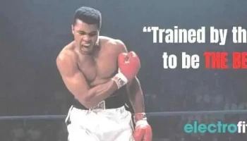 Westchester Boxing Club - White Plains