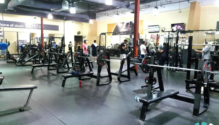 24 Hour Fitness -  Exercise Machine - San Leandro