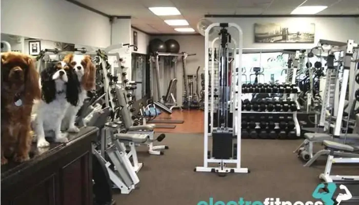 A Private Fitness Studio -  All - Santa Clarita