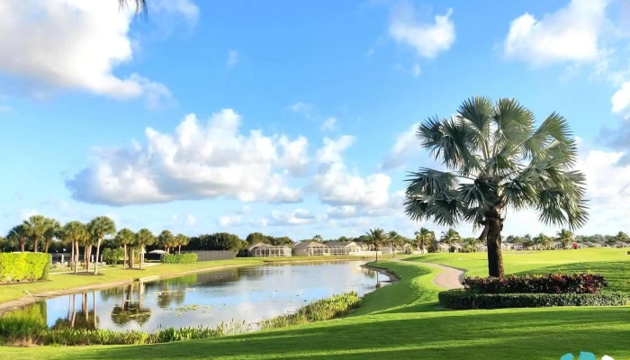 Aberdeen Golf Country Club Landscape - Boynton Beach
