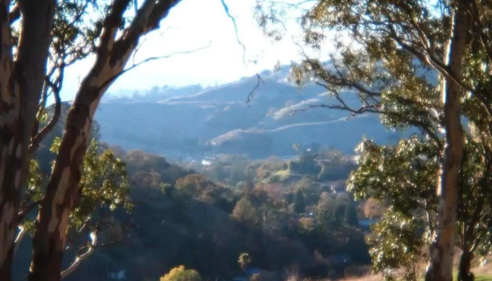 Acalanes Ridge Open Space Acalanes South Trail -  Mountain - Lafayette