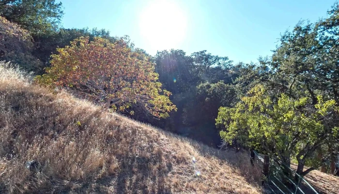 Acalanes Ridge -  Street View 360deg - Walnut Creek