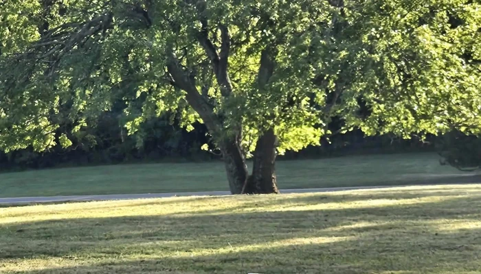 Accokeek Neighborhood Park -  Reviews - Accokeek