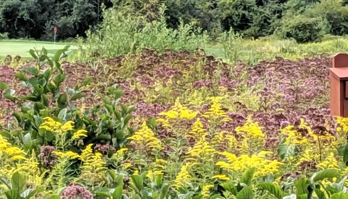 Acushnet River Valley -  Prices - Acushnet