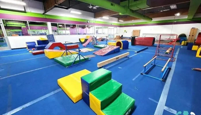 Adrenaline Gymnastics Academy -  By Owner - Littleton
