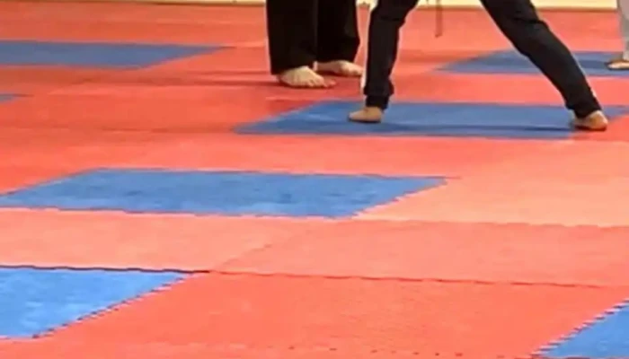 Agawam Us Tae Kwon Do Center -  Martial Art - Agawam
