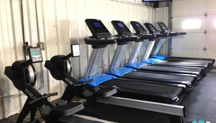 Ageless Fitness -  Staunton Exercise Machine - Staunton