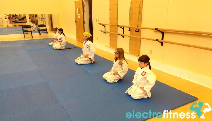 Aikido Yoshokai -    Vermont Martial Art - Brandon