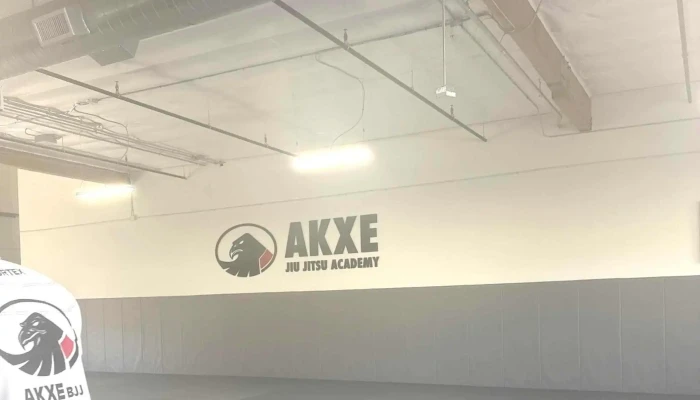 Akxe Jiu Jitsu Academy -  Website - Agoura Hills