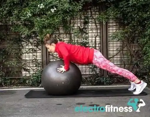 Alison Roessler Fitness -  By Owner - Oakland
