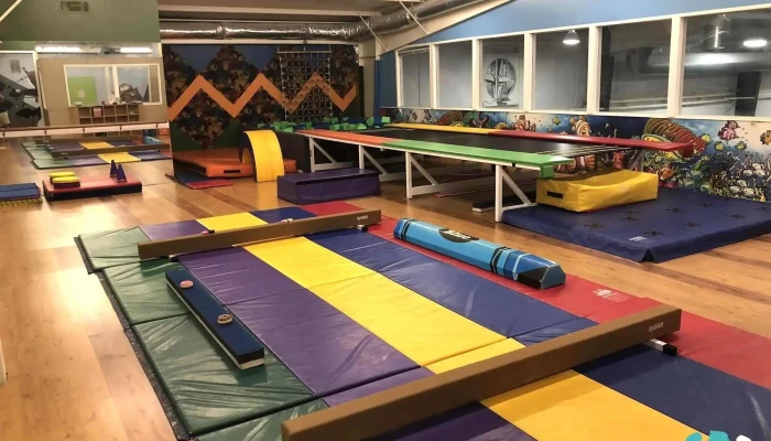 All Around Gymnastics -  Exercise - Alpharetta