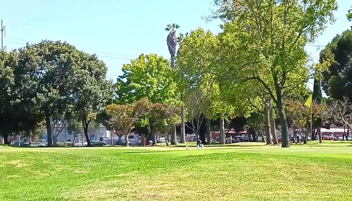 Alondra Park Golf Course -  All - Lawndale