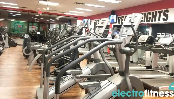 Alpha Fitness -  Exercise Machine - Newton