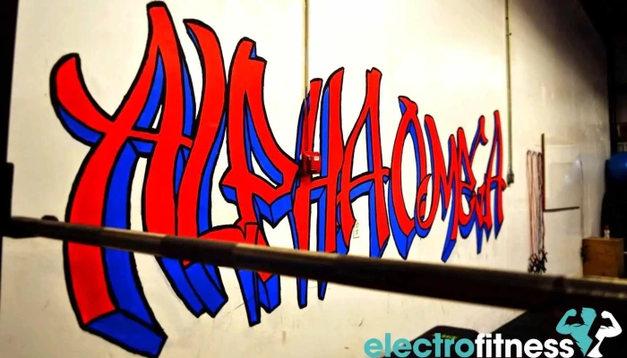 Alpha Omega Elite Fitness -  By Owner - Arvada