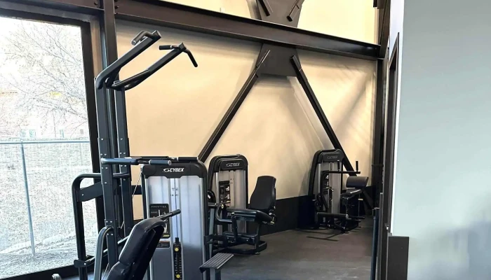 Alpine Fitness -  Website - Alpine