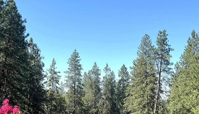 Alta Sierra Country Club -  Photos - Grass Valley