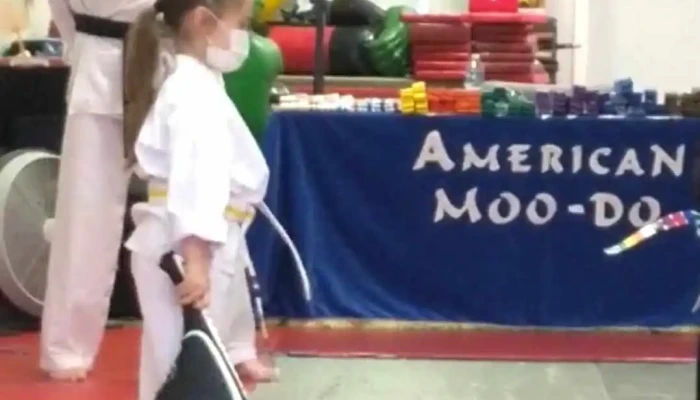 American Martial Arts Academy -  Martial Art - Alsip