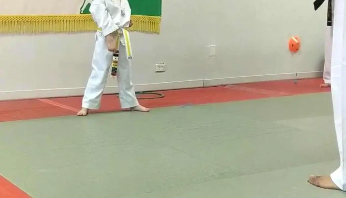 American Martial Arts Academy -  Uniform - Alsip