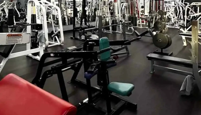 American Muscle Fitness By Owner - Akron